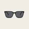 Cole Sunglasses - Black Tortoise