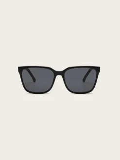 Cole Sunglasses - Black Tortoise