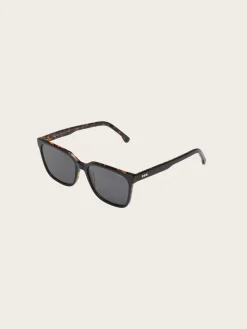 Cole Sunglasses - Black Tortoise