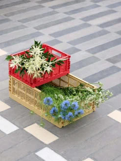 Colour Crate Small - Red