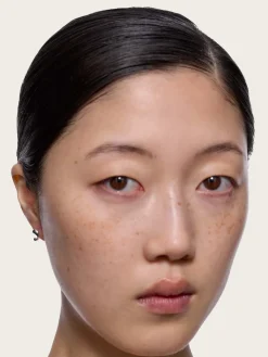 Dolphin Pool Studs Pair - Silver