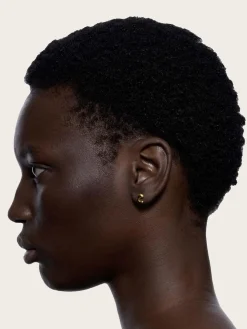 Dolphin Pool Studs Pair - Gold