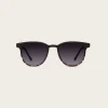 Francis Matte Sunglasses - Black Tortoise