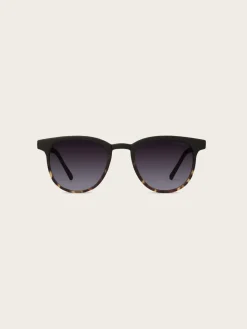 Francis Matte Sunglasses - Black Tortoise
