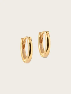 Hoops Classic Gold 6mm