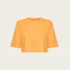 Jory Cropped Tee - Kumquat