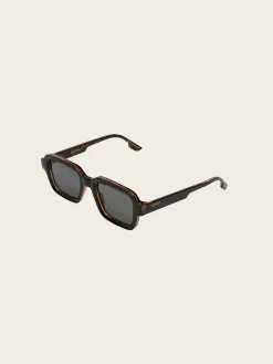 Lionel Sunglasses - Black Tortoise
