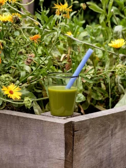 Sip Smoothie Straw Set of 4 - Opaque Mix